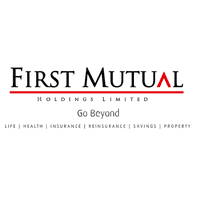 First Mutal Holdings Limited