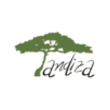 Tandiza Finance logo