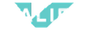 Valify logo